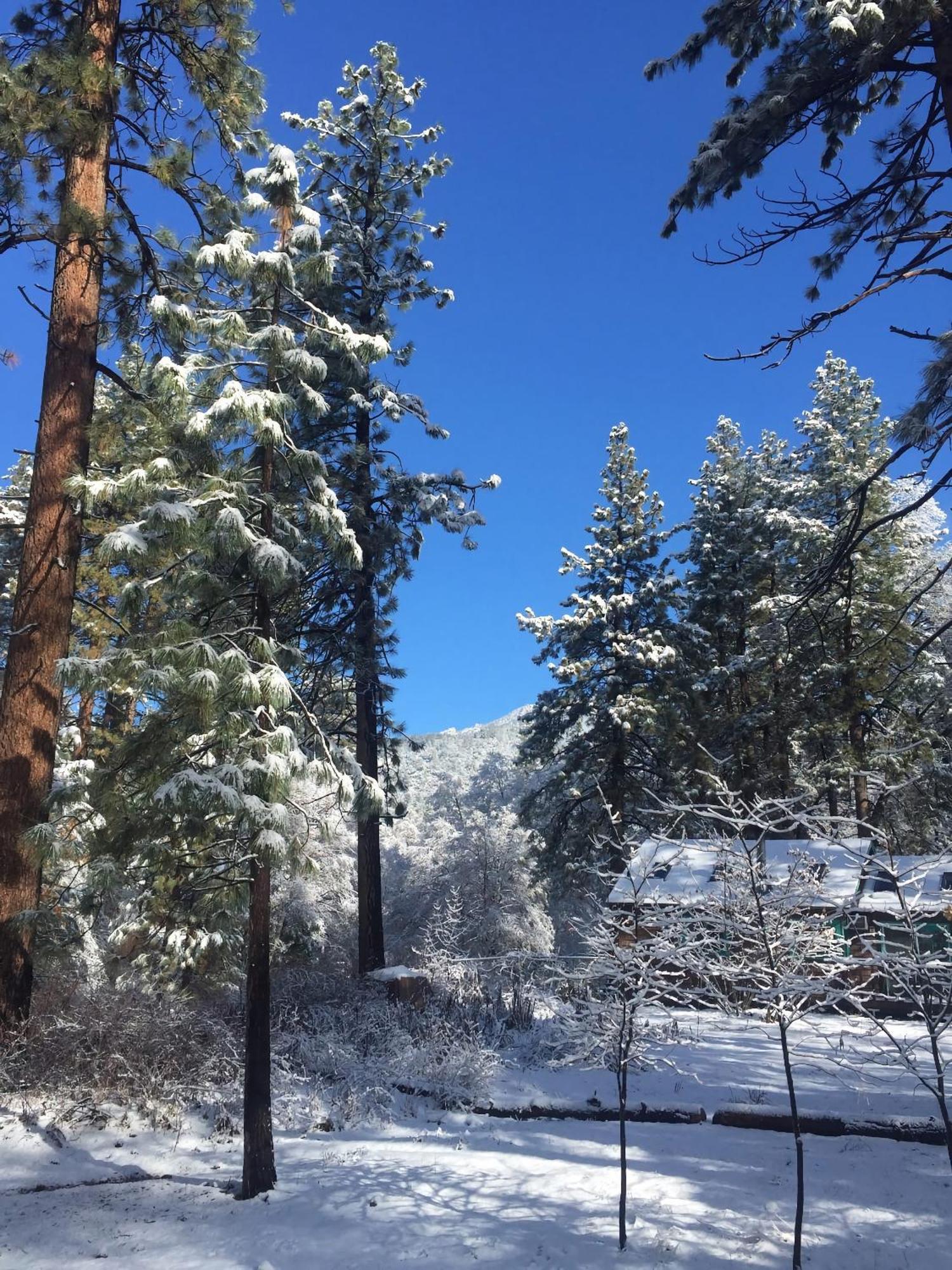 Ahwahnee-Be Vintage Cabin - Walk To Town! Idyllwild Bagian luar foto